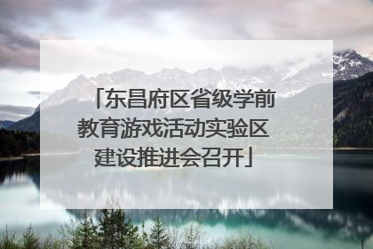 东昌府区省级学前教育游戏活动实验区建设推进会召开