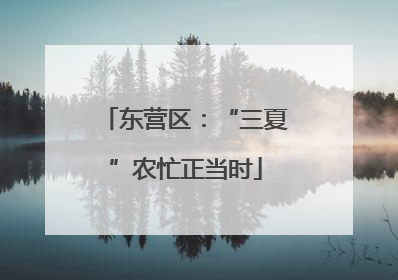 东营区：“三夏”农忙正当时