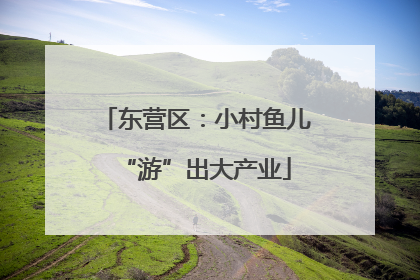 东营区：小村鱼儿“游”出大产业