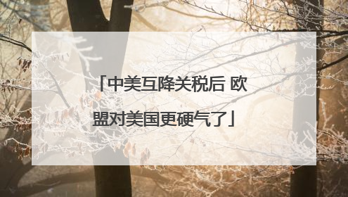 中美互降关税后 欧盟对美国更硬气了