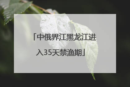 中俄界江黑龙江进入35天禁渔期