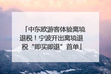 中东欧游客体验离境退税！宁波开出离境退税“即买即退”首单