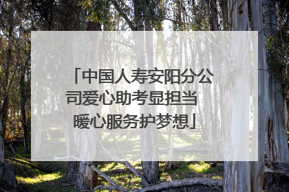 中国人寿安阳分公司爱心助考显担当 暖心服务护梦想