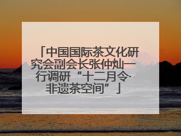 中国国际茶文化研究会副会长张仲灿一行调研“十二月令·非遗茶空间”