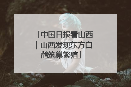 中国日报看山西｜山西发现东方白鹳筑巢繁殖