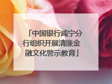 中国银行咸宁分行组织开展清廉金融文化警示教育
