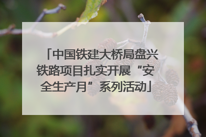 中国铁建大桥局盘兴铁路项目扎实开展“安全生产月”系列活动
