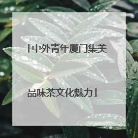 中外青年厦门集美品味茶文化魅力