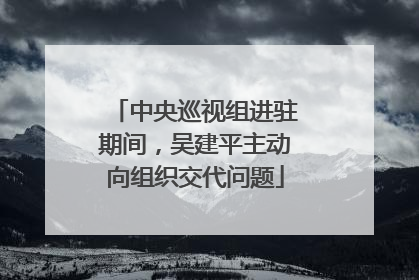 中央巡视组进驻期间，吴建平主动向组织交代问题
