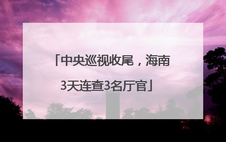 中央巡视收尾，海南3天连查3名厅官