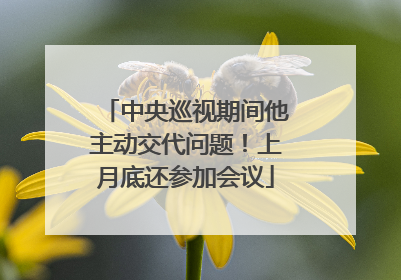 中央巡视期间他主动交代问题！上月底还参加会议
