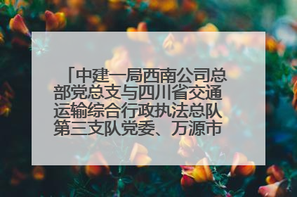 中建一局西南公司总部党总支与四川省交通运输综合行政执法总队第三支队党委、万源市草坝镇莲花院村党支部开展党建联建