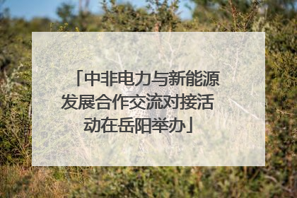 中非电力与新能源发展合作交流对接活动在岳阳举办