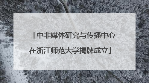 中非媒体研究与传播中心在浙江师范大学揭牌成立