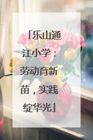 乐山通江小学：劳动育新苗，实践绽华光