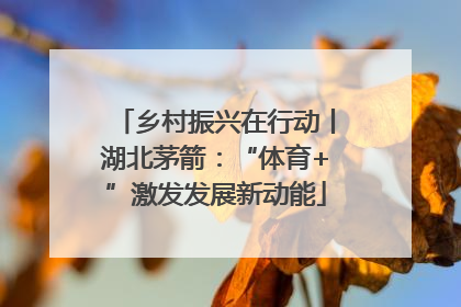 乡村振兴在行动丨湖北茅箭：“体育+”激发发展新动能