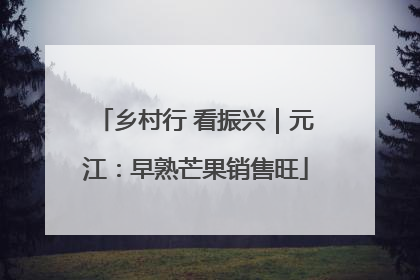乡村行 看振兴｜元江：早熟芒果销售旺