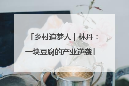 乡村追梦人｜林丹：一块豆腐的产业逆袭