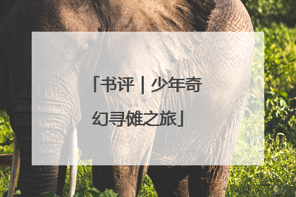 书评｜少年奇幻寻傩之旅