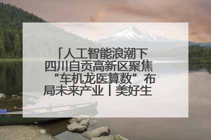 人工智能浪潮下 四川自贡高新区聚焦“车机龙医算数”布局未来产业丨美好生活有“盐”味