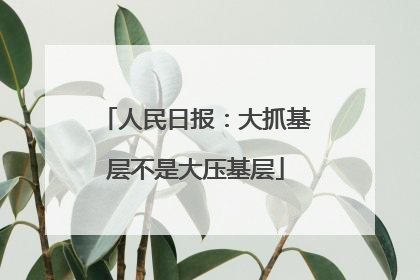 人民日报：大抓基层不是大压基层
