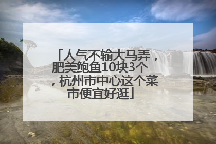 人气不输大马弄，肥美鲍鱼10块3个，杭州市中心这个菜市便宜好逛