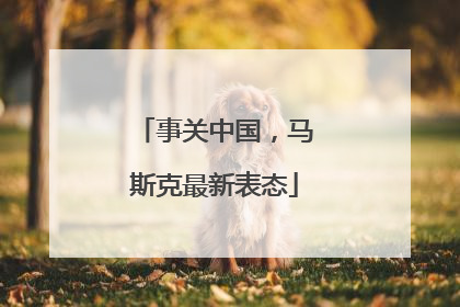 事关中国，马斯克最新表态