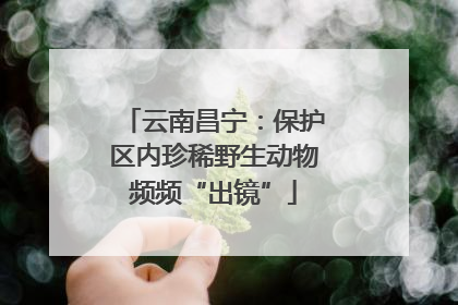 云南昌宁：保护区内珍稀野生动物频频“出镜”