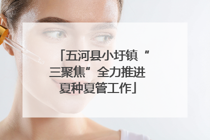 五河县小圩镇“三聚焦”全力推进夏种夏管工作