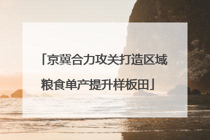 京冀合力攻关打造区域粮食单产提升样板田