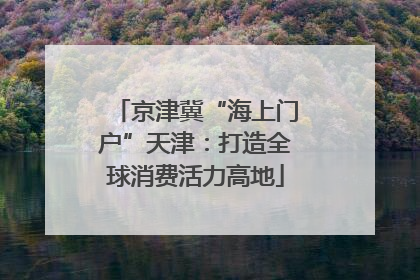 京津冀“海上门户”天津：打造全球消费活力高地