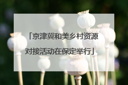 京津冀和美乡村资源对接活动在保定举行