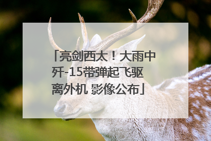 亮剑西太！大雨中歼-15带弹起飞驱离外机 影像公布
