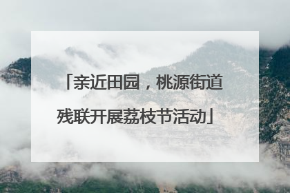 亲近田园，桃源街道残联开展荔枝节活动
