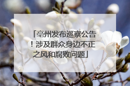 亳州发布巡察公告！涉及群众身边不正之风和腐败问题