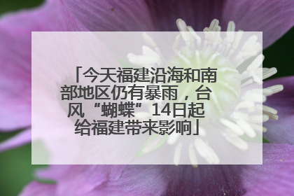 今天福建沿海和南部地区仍有暴雨，台风“蝴蝶”14日起给福建带来影响
