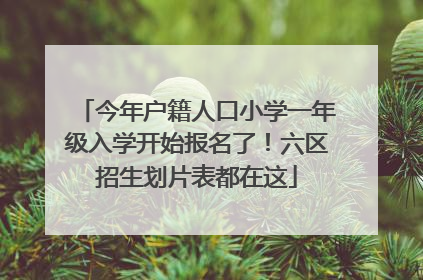 今年户籍人口小学一年级入学开始报名了！六区招生划片表都在这