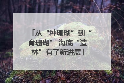 从“种珊瑚”到“育珊瑚” 海底“造林”有了新进展