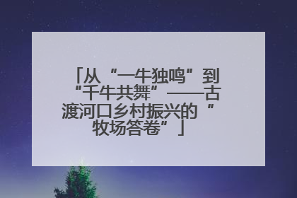 从“一牛独鸣”到“千牛共舞”——古渡河口乡村振兴的“牧场答卷”