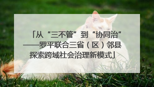 从“三不管”到“协同治”——罗平联合三省（区）邻县探索跨域社会治理新模式