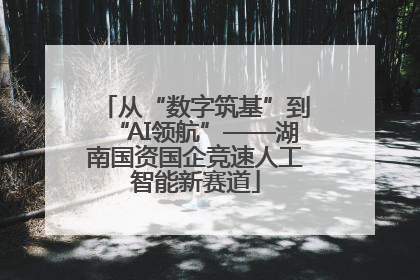 从“数字筑基”到“AI领航”——湖南国资国企竞速人工智能新赛道