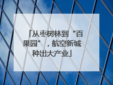 从枣树林到“百果园”，航空新城种出大产业