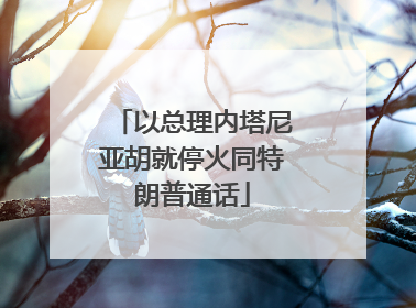 以总理内塔尼亚胡就停火同特朗普通话