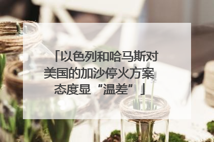 以色列和哈马斯对美国的加沙停火方案态度显“温差”