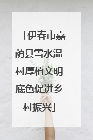 伊春市嘉荫县雪水温村厚植文明底色促进乡村振兴