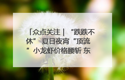 众点关注｜“跌跌不休” 夏日夜宵“顶流”小龙虾价格腰斩 东营人的快乐来了