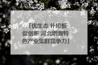 优生态 补短板 促创新 河北增强特色产业集群竞争力