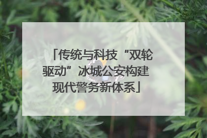 传统与科技“双轮驱动”冰城公安构建现代警务新体系