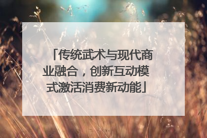 传统武术与现代商业融合，创新互动模式激活消费新动能