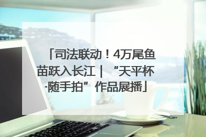 司法联动！4万尾鱼苗跃入长江｜“天平杯·随手拍”作品展播